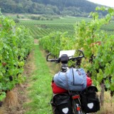 1109F 009 Trier-Paderborn